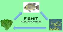 Fishit aquaponics logo